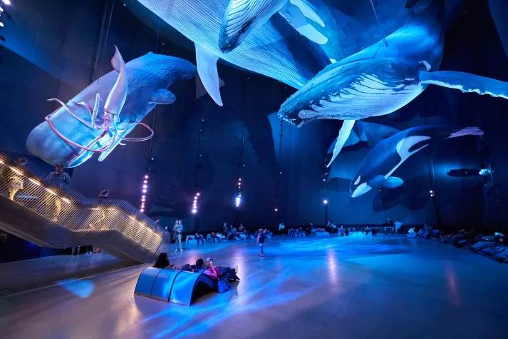 Bild: Faszinierend: das OZEANEUM Stralsund