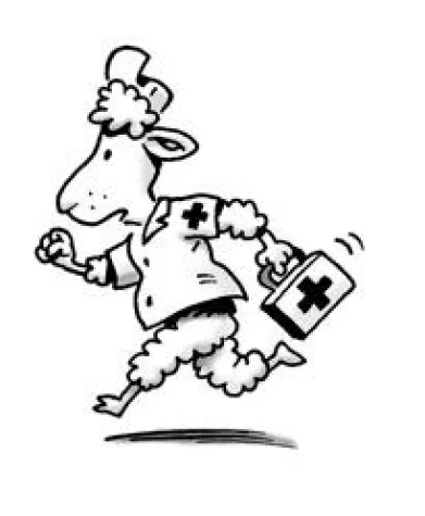 Bild: Abnehmen beginnt im Bauch!