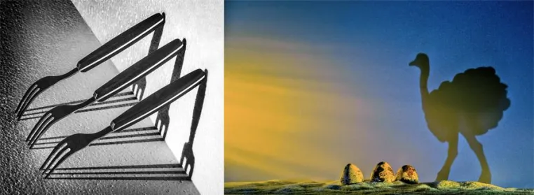 Bild: Fotoworkshop „Licht und Schatten“ mit der Fotoschule des Sehens in Nürnberg