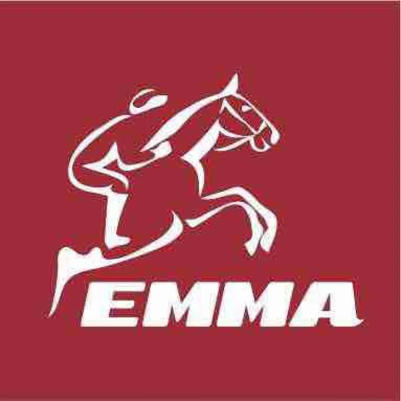 Innovationspreis der Equitana 2017
