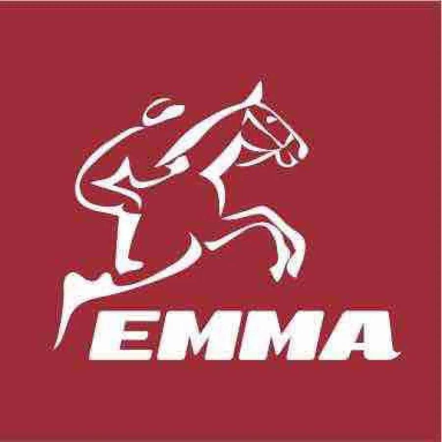 Innovationspreis der Equitana 2017