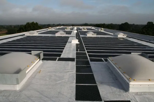 Bild: Umweltengagement für die Welt von morgen