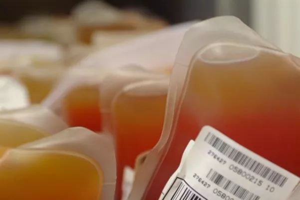 Bild: „Schwules Blut“ auf GAYS.DE - Erste bundesweite Umfrage unter Deutschlands schwulen und bisexuellen Männern