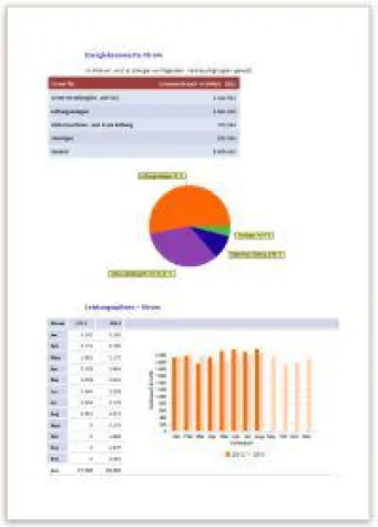Bild: Solar-Data Energiesoftware in BAFA-Liste der förderfähigen Software.