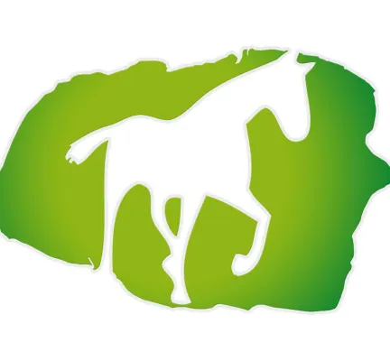 Bild: Kuraufenthalt fur kranke Pferde auf der Nordseeinsel Fohr