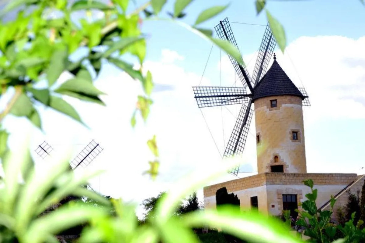Mühlenmuseum Gifhorn - (c) Südheide Gifhorn GmbH