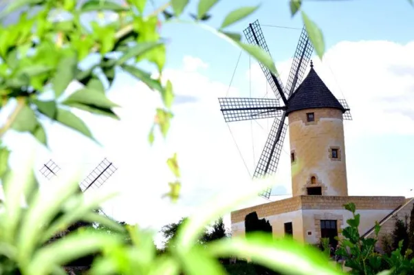 Bild: Unterwegs zu den Frühlingsboten in der Südheide Gifhorn