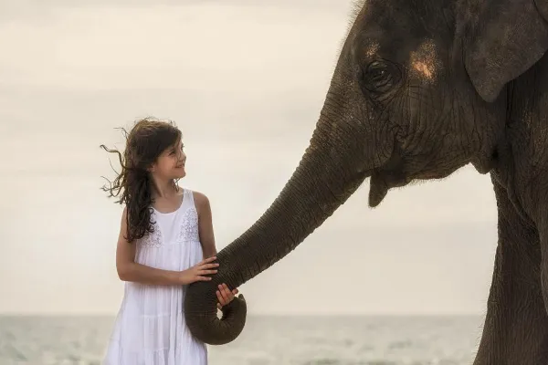 Sommerangebot für Familien: Spiel, Spaß und exotische Abenteuer außerhalb Europas Bild: Sommerangebot für Familien: Spiel, Spaß und exotische Abenteuer außerhalb Europas