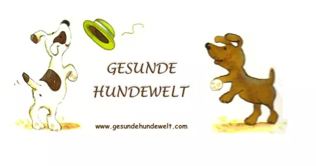 Der Experte für orthopädische Hundebetten Bild: Der Experte für orthopädische Hundebetten