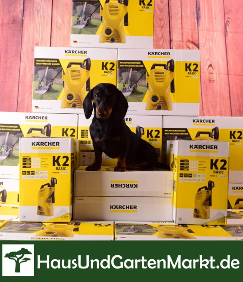 Luxsline Firmenmaskottchen