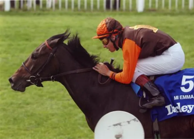 Scheich-Pferde auf der Neuen Bult am Start? Bild: Scheich-Pferde auf der Neuen Bult am Start?