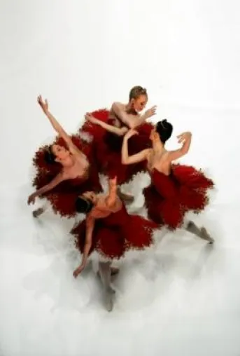 Bild: Institut50plus – «4 Farben Rot» Premiere am 3. Mai 2009 in der Semperoper