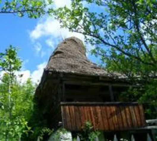 Bild: Neues aus Transsilvanien