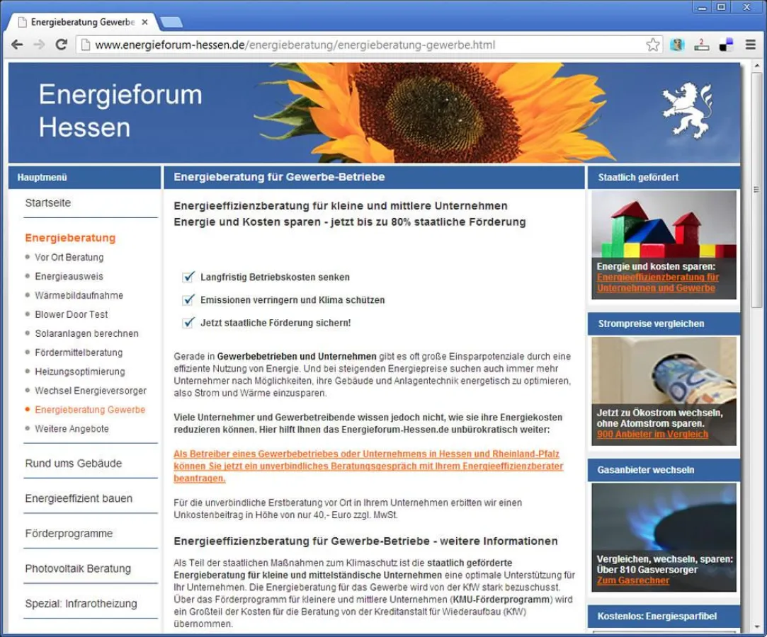 Infos zur Energieeffizienzberatung für KMU mit staatlicher Förderung auf Energieforum-Hessen.de