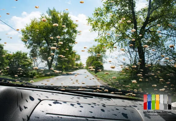 Bild: Scheibenwaschanlage - Inhalt egal?