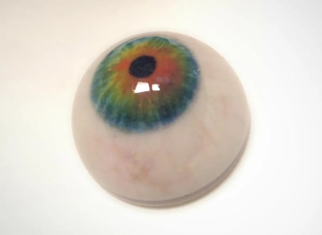 Augapfel farbkalibriert im 3D-Druck mit transluzenter Oberfläche