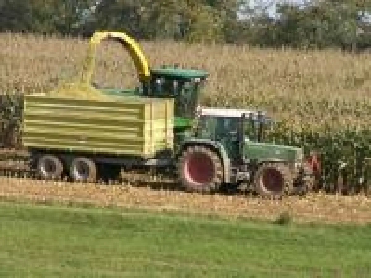 Bio auf den Prüfstand