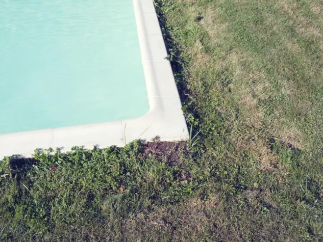 Bild: STILLEBEN DES ALLTAGS MIT MELANCHOLISCHER NOTE