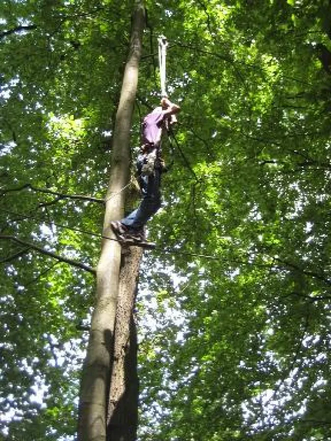 Die Pflegekinder trauen sich jedes Jahr mehr zu, im Wald so wie im Leben.