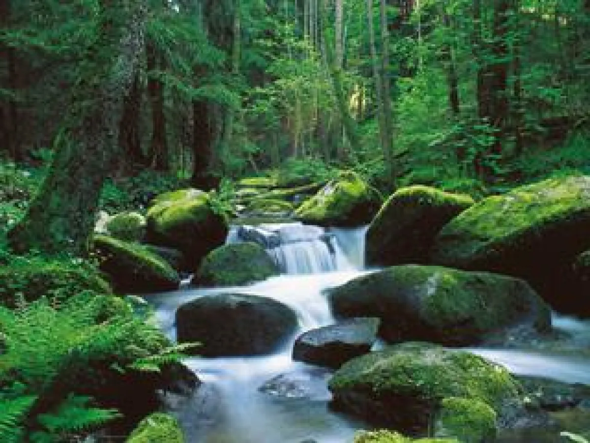 Lerautal mit Wolfslohklamm im Naturparkland Oberpfälzer Wald
