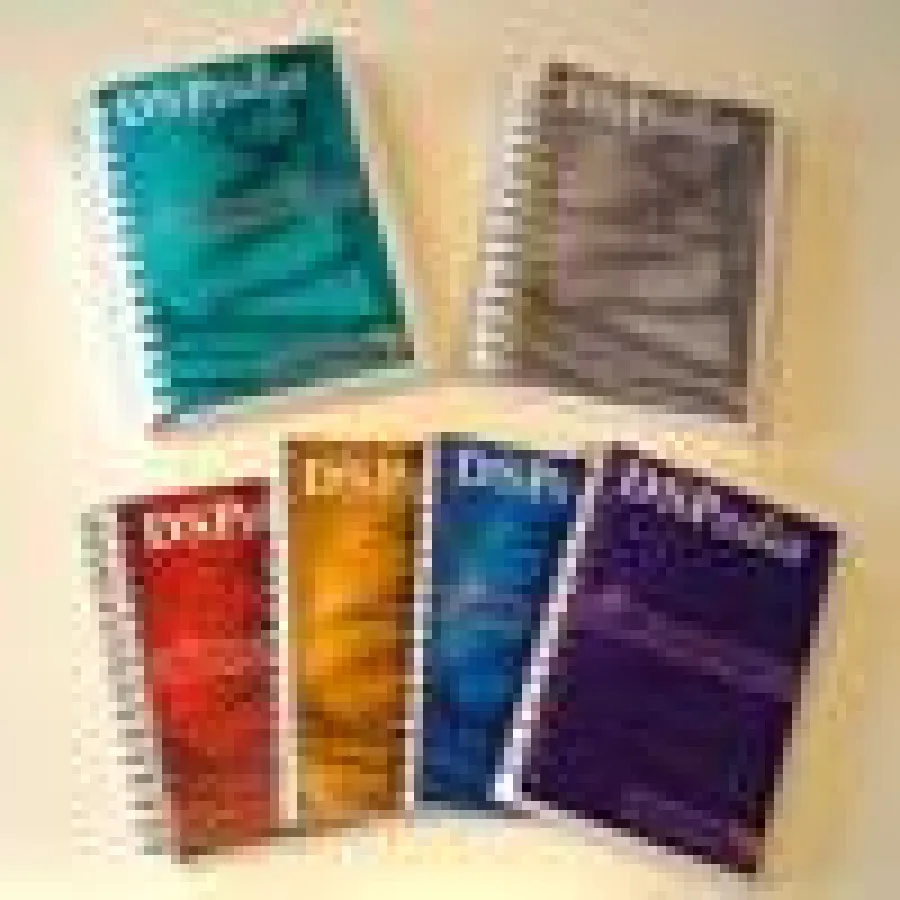 DSP for FPGAs Intensivkurs