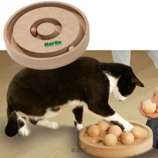Weihnachtsgeschenke für die tierischen Familienmitglieder Bild: Weihnachtsgeschenke für die tierischen Familienmitglieder