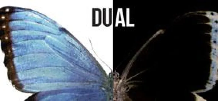 DUAL Bild: DUAL