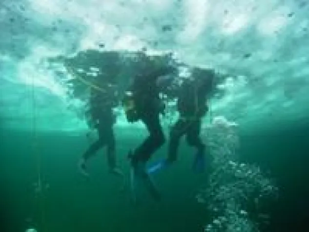 Tauchparadies Salzkammergut: Märchenwelt unter dem Eis Bild: Tauchparadies Salzkammergut: Märchenwelt unter dem Eis
