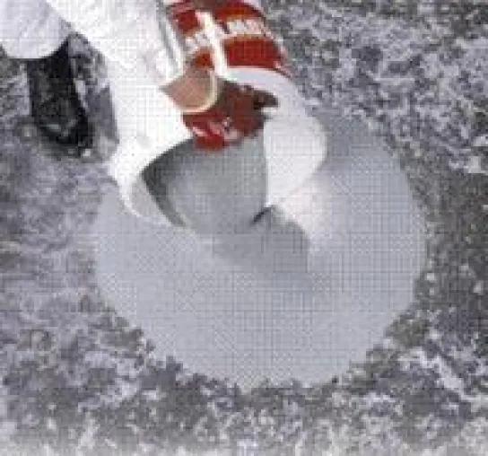 Bild: Flowtop