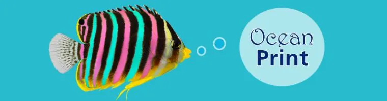 Bild: Ocean Print neu im Netz