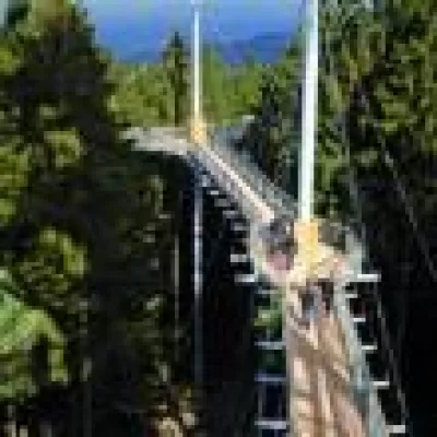 Bild: 'skywalk allgäu' eröffnet: Auf 40 Metern Höhe zwischen Allgäuer Baumwipfeln flanieren