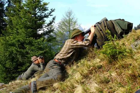 „NaturVision Filmpreis Bayern“ bereichert die NaturVision Filmtage Bild: „NaturVision Filmpreis Bayern“ bereichert die NaturVision Filmtage