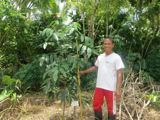 Bild: Ich kauf mir einen Baum – auf den Philippinen