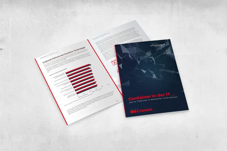 Gekommen, um zu bleiben: Studie zum Container-Einsatz in deutschen Unternehmen Bild: Gekommen, um zu bleiben: Studie zum Container-Einsatz in deutschen Unternehmen