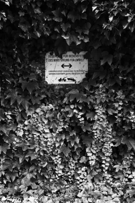 Bild: Fotoausstellung Von Benedikt Steinmetz zum Thema >von Amts wegen< im Haus der Arcchitekten