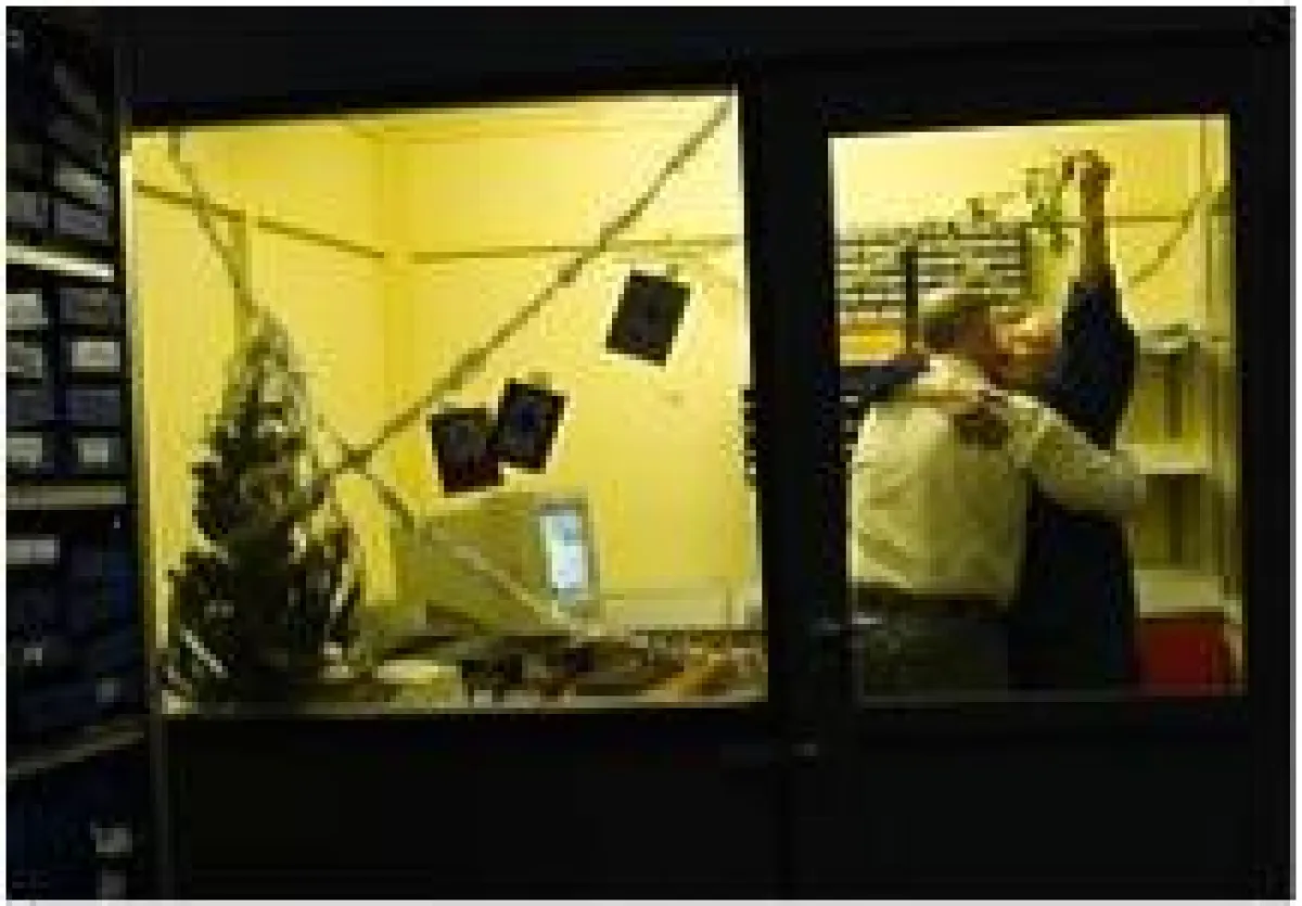 Die Detektive der Detektei Lentz® Gruppe kennen jedes Versteck