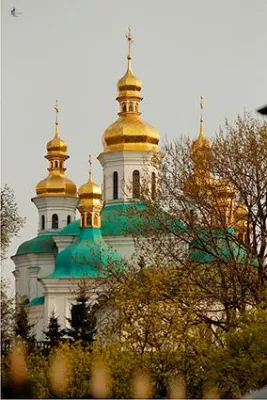 Die Ärzte verschreiben immer häufiger homöopathische Arzneimittel in Ukraine Bild: Die Ärzte verschreiben immer häufiger homöopathische Arzneimittel in Ukraine