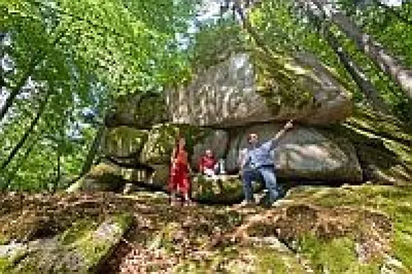 Bild: Wandern durch den Baumwipfelpfad im Bayerischen Wald