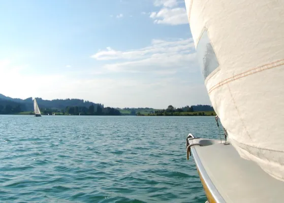 Bild: Segelurlaub unterm Weihnachtsbaum – Forggensee-Yachtschule im Allgäu bietet Geschenkgutscheine an
