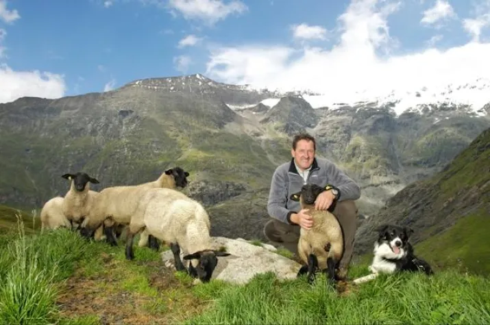 Genuss-Event vor Bergkulisse: Glocknerlammfest in Heiligenblut Bild: Genuss-Event vor Bergkulisse: Glocknerlammfest in Heiligenblut