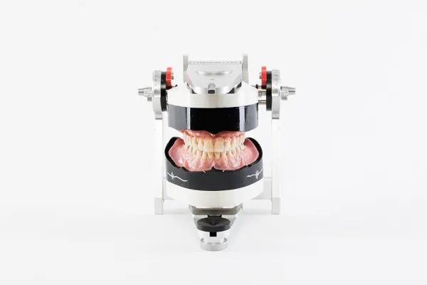 Bild: 10. CANDULOR KUNSTZAHNWERK WETTBEWERB