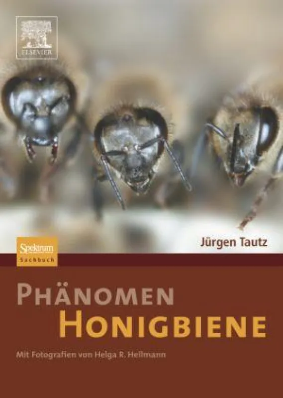 Coverabbildung des Buchs