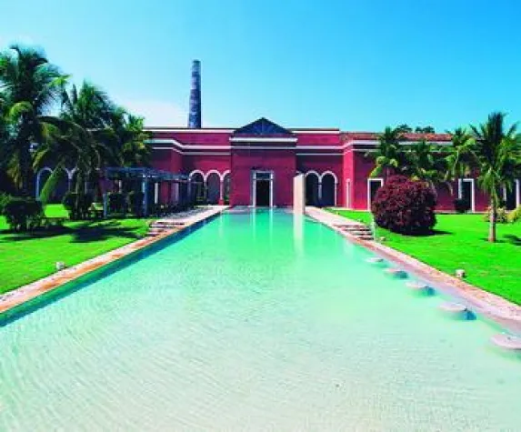 Bild: In Mexiko auf Frida Kahlos Spuren