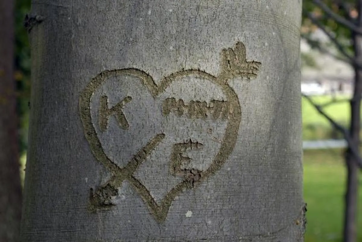 Shutterstock.com, Carsten Medom Madsen