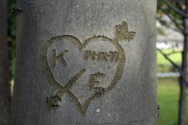 Squogg - Die Welt mit dem iPhone gestalten Bild: Squogg - Die Welt mit dem iPhone gestalten