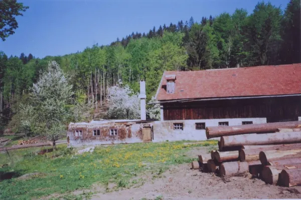 Bild: So spannend ist die Geschichte vom Harlachberg und der GutsAlm im Bayerischen Wald