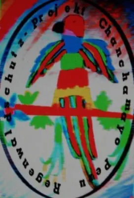 „Massenmord“ - Das stille sterben der Delfine und Pelikane in Peru Bild: „Massenmord“ - Das stille sterben der Delfine und Pelikane in Peru