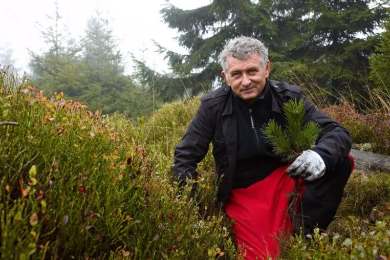 Bild: Wiederaufforstung der Umweltstiftung Fondation Yves Rocher im Schwarzwald