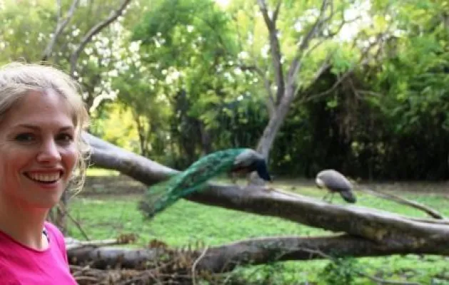 8.Tier: Ein Vogel mit Stolz und Anmut Bild: 8.Tier: Ein Vogel mit Stolz und Anmut