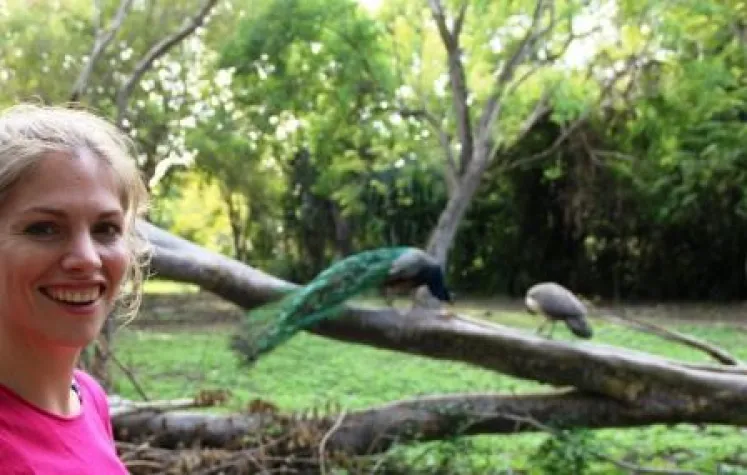 8.Tier: Ein Vogel mit Stolz und Anmut Bild: 8.Tier: Ein Vogel mit Stolz und Anmut